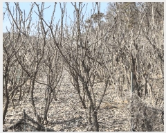  2025Ÿ��507763 ��õ ��ȭ�� ������ ��븮 312-1      ����(��1)���