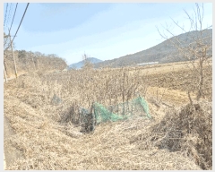  2025Ÿ��507763 ��õ ��ȭ�� ������ ��븮 312-1      ����(��1)���