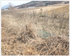  2025Ÿ��507763 ��õ ��ȭ�� ������ ��븮 312-1      ����(��1)���