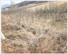  2025Ÿ��507763 ��õ ��ȭ�� ������ ��븮 312-1      ����(��1)���