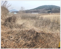  2025Ÿ��507763 ��õ ��ȭ�� ������ ��븮 312-1      ����(��1)���