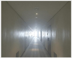  2025Ÿ��509267 ��õ �߱� ��� 3098-1 �����÷���1 7��708ȣ     ���ǽ��ڰ��