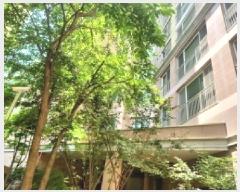  2025Ÿ��509389  ����Ʈ���