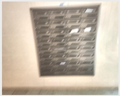  2025Ÿ��509389  ����Ʈ���