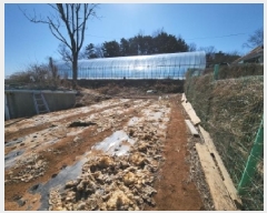  2025Ÿ��138  �����