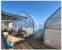  2025Ÿ��138  �����