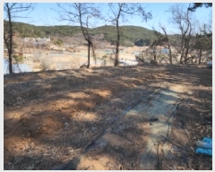  2025Ÿ��138  �����