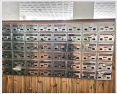  2025Ÿ��913  ���ǽ��ڰ��