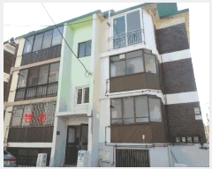  2025Ÿ505350 õ  366 13, 1 1ȣ (µ,ƺ)    ټ,