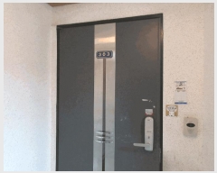  2025Ÿ505350 õ  366 13, 1 1ȣ (µ,ƺ)    ټ,