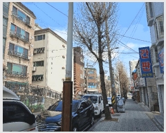  2025Ÿ��508235  �ټ���(����)���