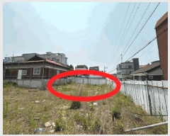  2025Ÿ��509259  �������