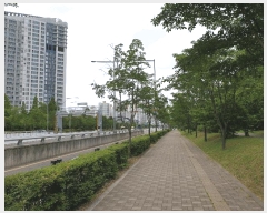  2025Ÿ��509491  ����Ʈ���