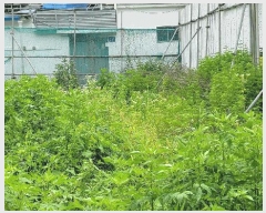  2025Ÿ��509919 ��õ �߱� ���ﵿ1�� 91-28       ����(����)���