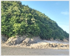  2025Ÿ��510145 ��õ ������ ����� �ܸ� ��62-1      ����(�Ӿ�)���