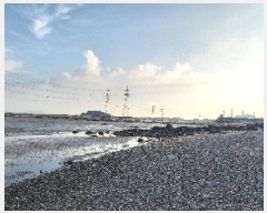  2025Ÿ��510145 ��õ ������ ����� �ܸ� ��62-1      ����(�Ӿ�)���