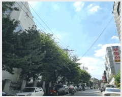  2025Ÿ��1406  ����Ʈ���