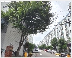  2025Ÿ��1406  ����Ʈ���