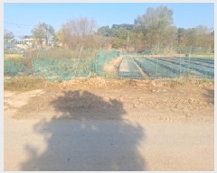  2025Ÿ��1739  ����