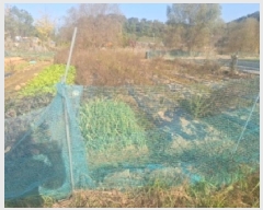  2025Ÿ��1739  ����