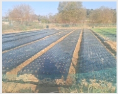  2025Ÿ��1739  ����