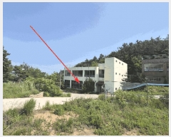  2025Ÿ��509920  �ٸ��ü����