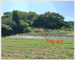  2025Ÿ��510444 ��õ ������ ����� ���� 1070-1      ����(��1)���