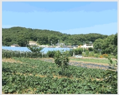  2025Ÿ��510444 ��õ ������ ����� ���� 1070-1      ����(��1)���