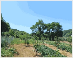  2025Ÿ��510444 ��õ ������ ����� ���� 1070-1      ����(��1)���