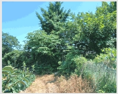  2025Ÿ��510444 ��õ ������ ����� ���� 1070-1      ����(��1)���