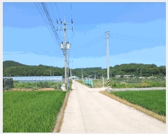  2025Ÿ��510444 ��õ ������ ����� ���� 1070-1      ����(��1)���