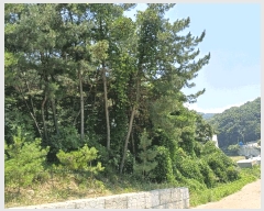  2025Ÿ��510745 ��õ ������ ����� �ܸ� 741-17      ����(�Ӿ�)���