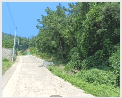  2025Ÿ��510745 ��õ ������ ����� �ܸ� 741-17      ����(�Ӿ�)���