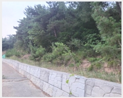  2025Ÿ��510745 ��õ ������ ����� �ܸ� 741-17      ����(�Ӿ�)���