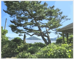  2025Ÿ��511899  ���ð��