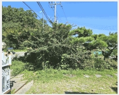  2025Ÿ��511899  ���ð��