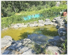  2025Ÿ��511899  ���ð��