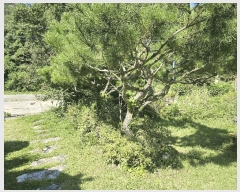  2025Ÿ��511899  ���ð��