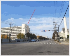  2025Ÿ��513524  ����Ʈ��������