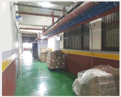  2025Ÿ��513524  ����Ʈ��������