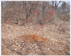  2025Ÿ��765 ��õ ������ ����� ��122-1       ����(�Ӿ�)���