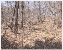  2025Ÿ��765 ��õ ������ ����� ��122-1       ����(�Ӿ�)���