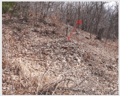  2025Ÿ��765 ��õ ������ ����� ��122-1       ����(�Ӿ�)���