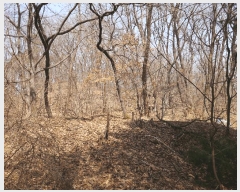  2025Ÿ��765 ��õ ������ ����� ��122-1       ����(�Ӿ�)���