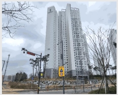  2025Ÿ��800  ����Ʈ���