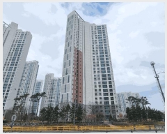  2025Ÿ��800  ����Ʈ���