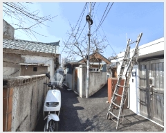  2025Ÿ��507898  ���ð��