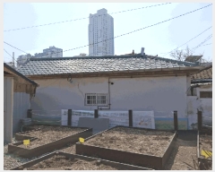  2025Ÿ��507898  ���ð��