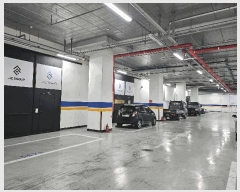  2025Ÿ��508239  ����Ʈ��������