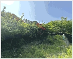  2025Ÿ��508994 ��õ ������ ����� ���� 1328-13      ���ð��